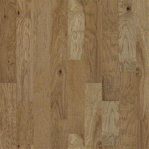 WHOLESALE HARD SURFACES in Sunkissed Hardwood