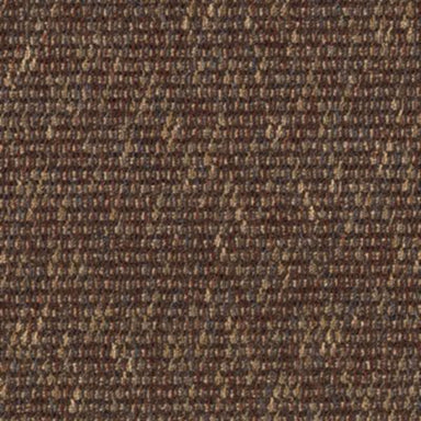 Astonishing View in Bright Ideas Carpet