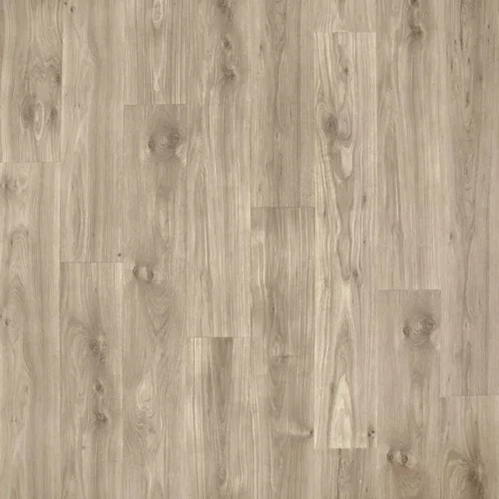 Ivey Park in Polished Grey Oak Laminate