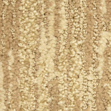 Envy in Mode Carpet