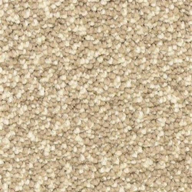 Gusto in Putty Carpet