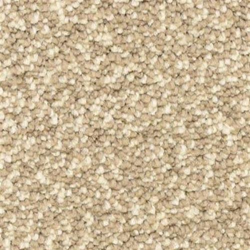 Gusto in Putty Carpet