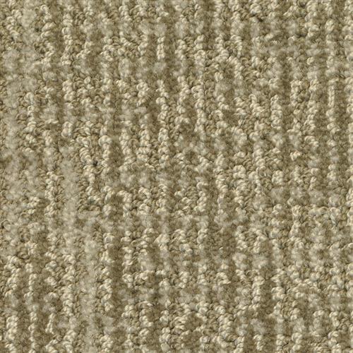 Aliso Creek in Zorro Carpet