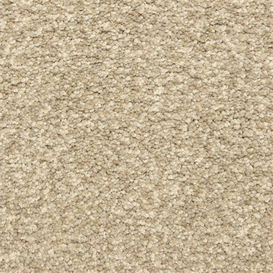 Color Festival in Granite Carpet