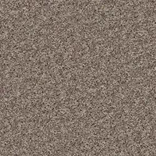 ACME COURT in Trade Wind Carpet