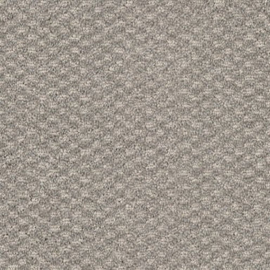 Calm in Harmony Carpet