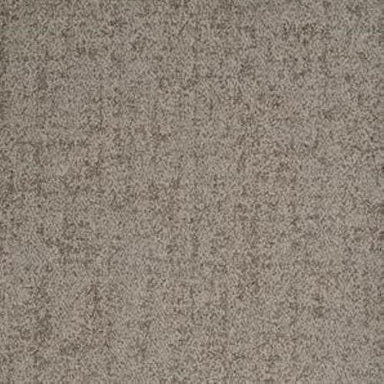 Authentic in Undeniable Carpet