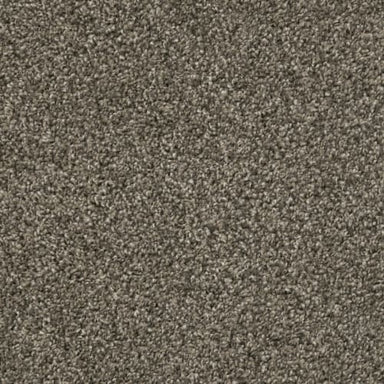 Big Idea in Boulder Carpet