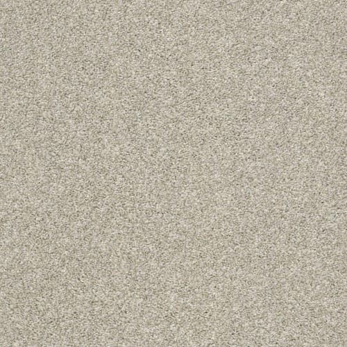 FRESH OUTLOOK in Dove Carpet — Atlanta Flooring Design Centers