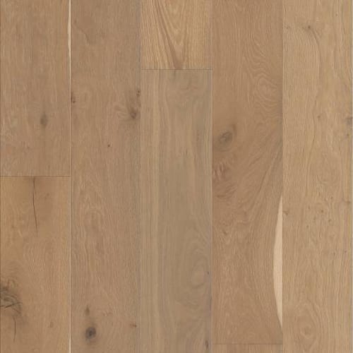 SHAW WOOD in Alla Prima Hardwood