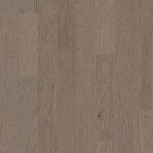 WHOLESALE HARD SURFACES in Ashen Taupe Hardwood