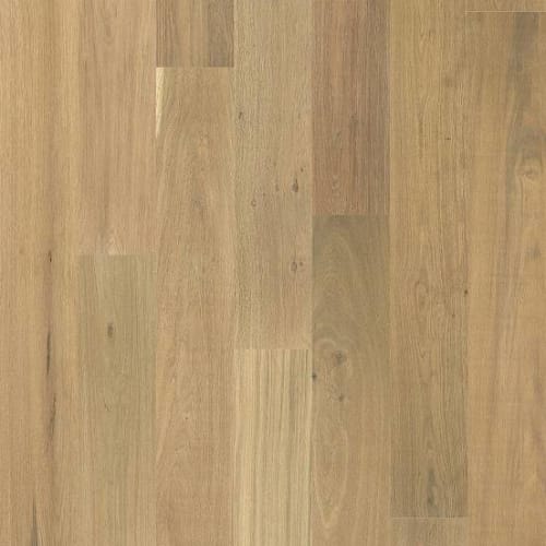 ANDERSON WOOD in Grove Smooth Hardwood