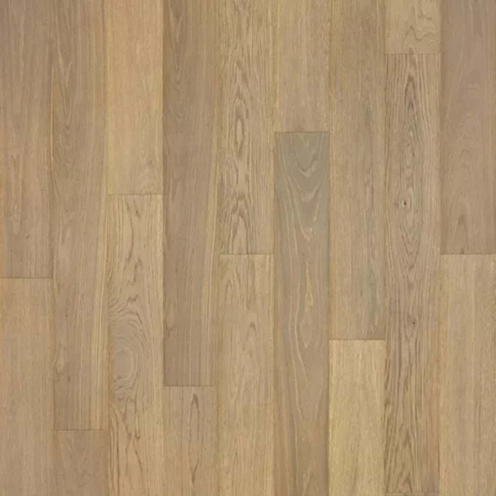 Adler Place in Malted Oak Laminate