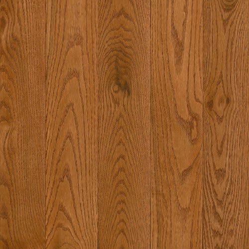 Natural Forest in Gunstock Hardwood