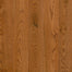 Natural Forest in Gunstock Hardwood