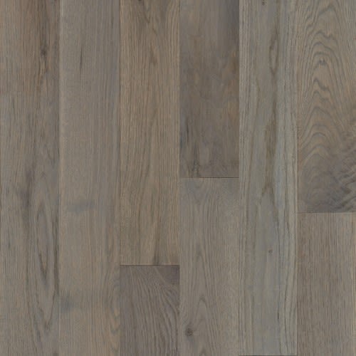 Natural Forest in Winter Neutral Hardwood