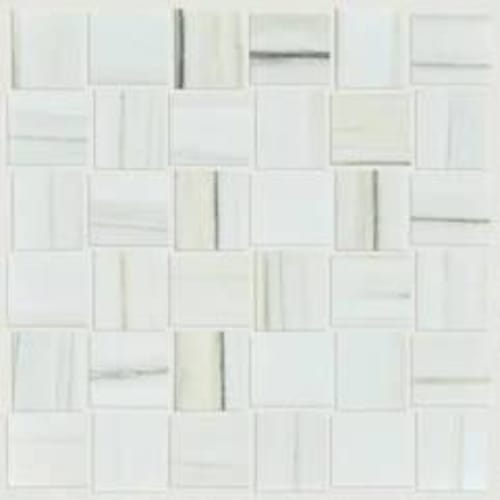 VISION POLISHED MOSAIC in Zebrino  Tile