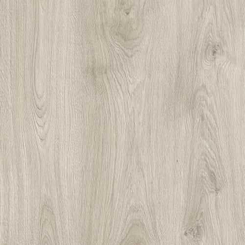 RARITY in Delicate Maple Laminate