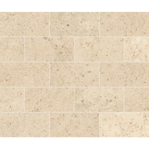 Parksville Stone™ in Kalahari Beige 3x6 Natural Stone