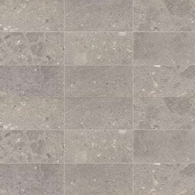 Center City in Arch Grey - 4x12 Polished Tile
