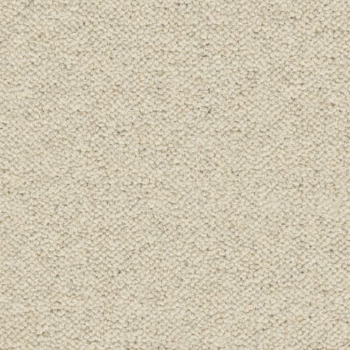 Newhaven Flooring by Karastan - Wool