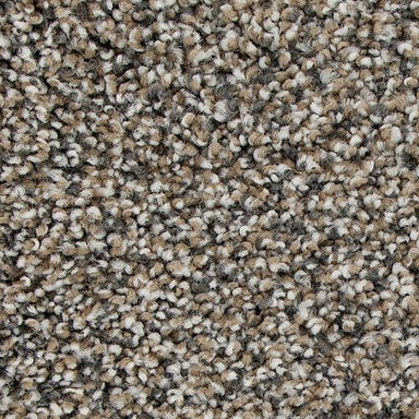 Charismatic Approach Flooring by Karastan